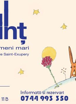 Micul Print - Spectacol pentru oameni mari