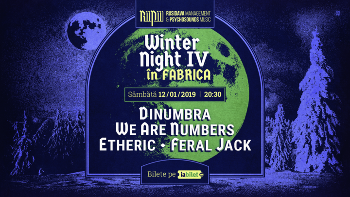 Winter Night in Fabrica part. IV.