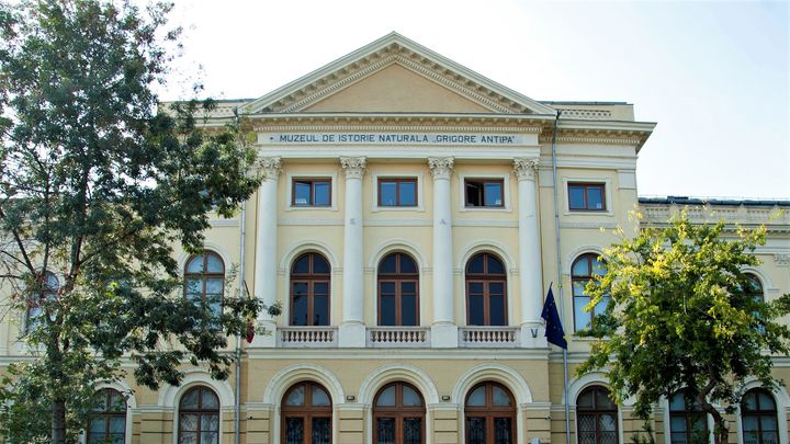Antipa: Expozitia permanenta a Muzeului Antipa