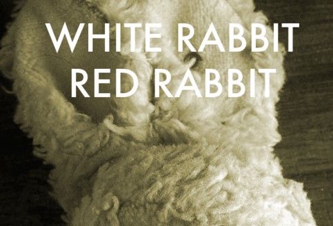 Iepurele Alb, Iepurele Rosu / White rabbit, red rabbit, cu Ofelia Popii - transmisie live@Scena Digitala