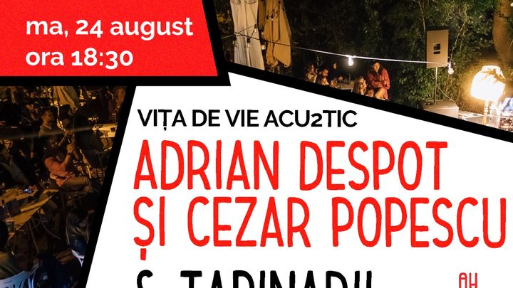 Cluj-Napoca: Concert Vita de vie Acu2tic & Tapinarii