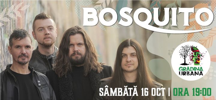 Concert Bosquito | Second Show
