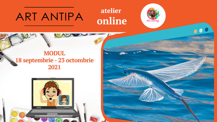 Art Antipa online