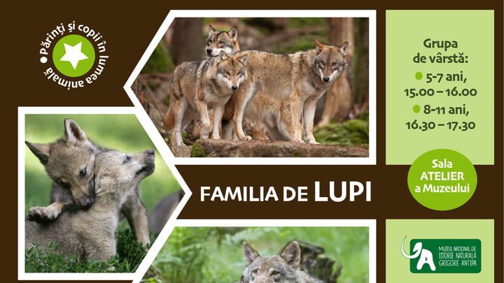 Familia de lupi