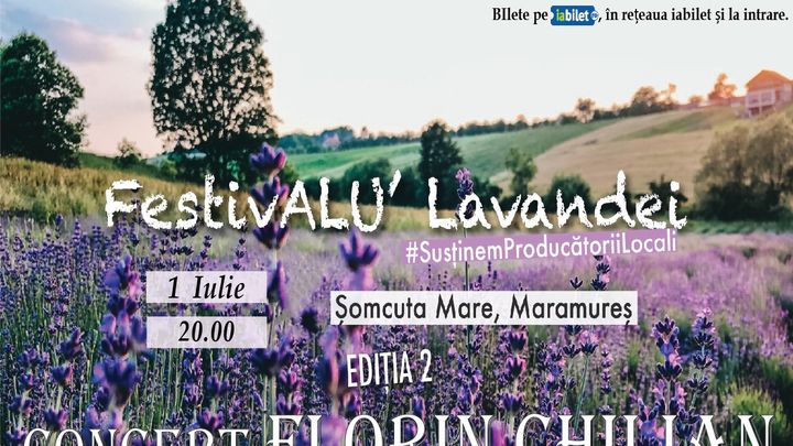 Concert Florin Chilian la FestivALU’ Lavandei