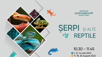 „Șerpi și alte reptile”- atelier de vară de science&craft