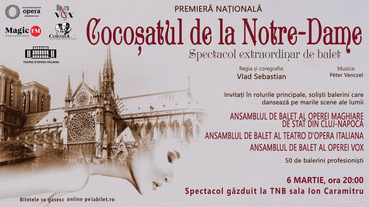 Sibiu: Cocosatul de la Notre-Dame