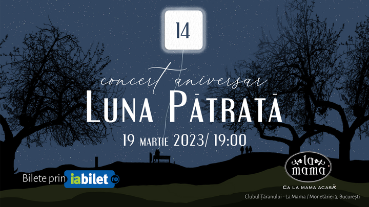 Concert aniversar Luna Patrata /14/Alina Manole