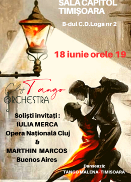 Timisoara: Argentina, mi Amor !