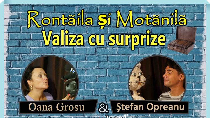 Timisoara: Ronțăilă și Motănilă - Valiza cu surprize