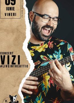 VIZI Concert #liveintheattic