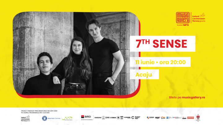 Iași: Music Gallery - Concert 7th sense