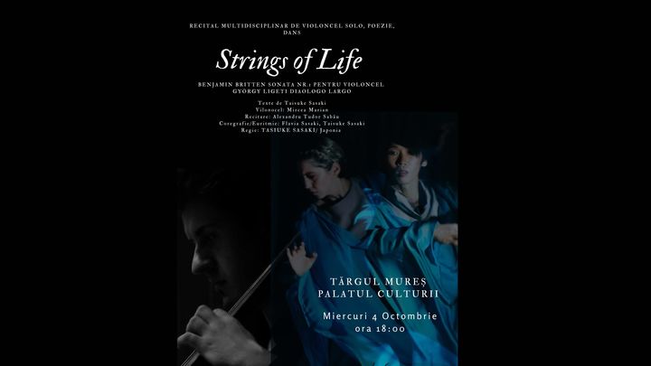 Târgul Mureș:  Strings of life