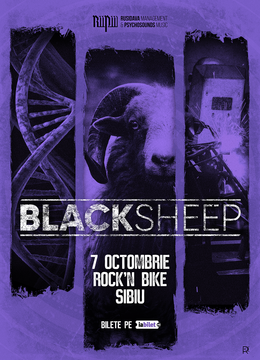 Sibiu: Concert BlackSheep