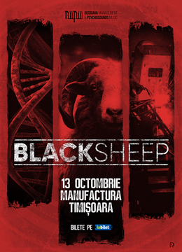 Timisoara: Concert BlackSheep