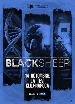 Cluj-Napoca: Concert BlackSheep
