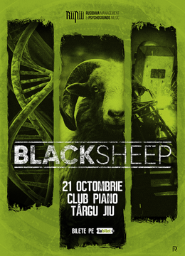 Targu Jiu: Concert BlackSheep