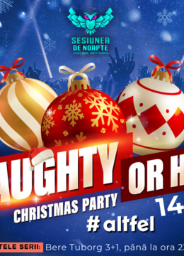 NAUGHTY or HOT / Christmas Party