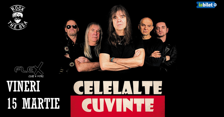 Arad: Concert Celelalte Cuvinte