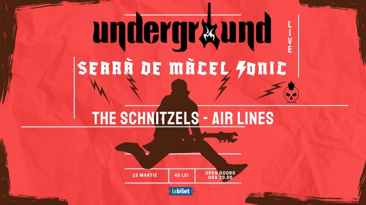 Iasi: Concert Airlines si The Schnitzels