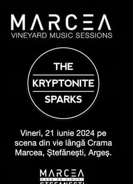 Stefanesti: The Kryptonite Sparks - Vineyard Music Sessions