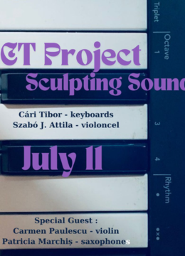 Timișoara:  CT Project - Sculpting Sounds