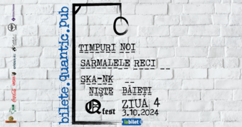 QFest – Ziua IV  – TIMPURI NOI + SARMALELE RECI + SKA-NK