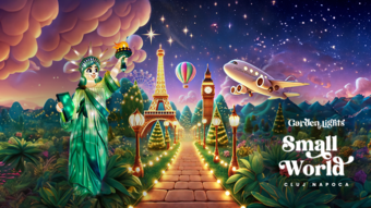 Cluj-Napoca: Garden of Lights - Small World