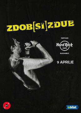 Concert Zdob si Zdub