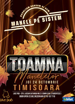 Timisoara: Manele pe Sistem