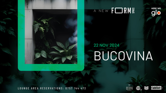 Bucovina at FORM Space