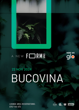 Bucovina at FORM Space