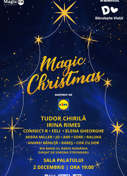 Magic Christmas Show