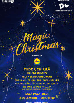 Magic Christmas Show