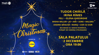 Magic Christmas Show