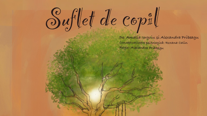 Suflet de Copil