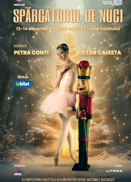 Spărgătorul de Nuci – Magia Baletului de Crăciun (Show 2)