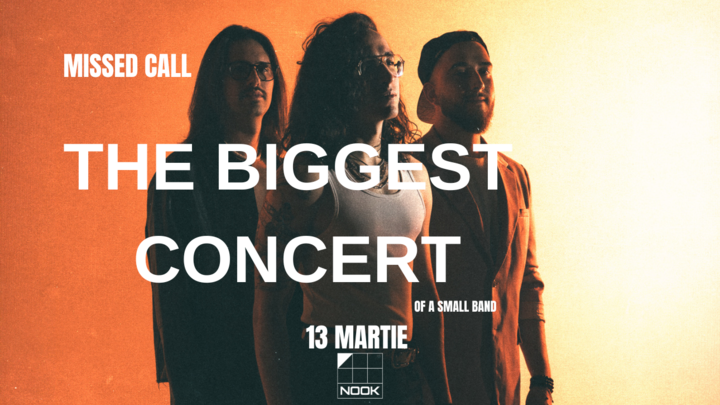 THE BIGGEST CONCERT OF A SMALL BAND by Missed Call