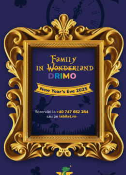 Timisoara: Family in Wonderland - New Year's Eve 2025