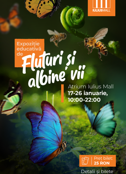 Cluj-Napoca: Expozitie de Fluturi si Albine vii