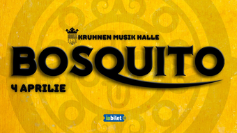 Brasov: Concert Bosquito