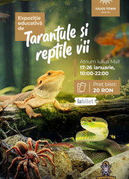 Timișoara: Expoziție educativă de Tarantule și reptile vii