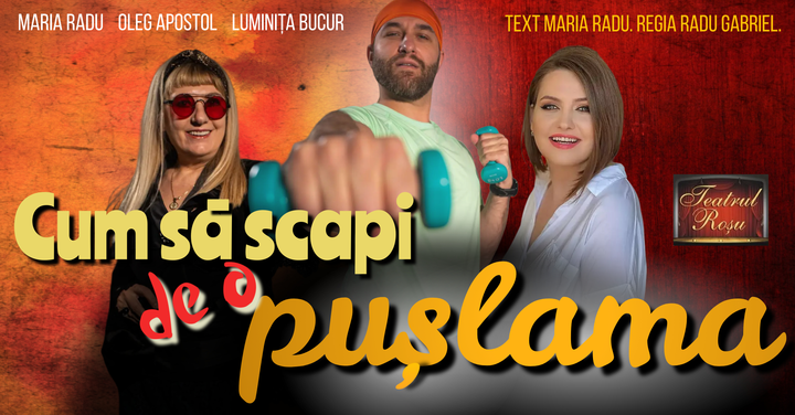 Iasi: Cum sa scapi de o puslama