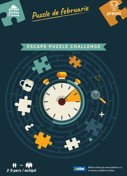 Timisoara: Puzzle Challenge #Februarie