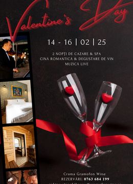 Mocești: Gramofon Wine X Valentine's Day