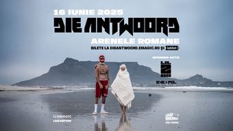 DIE ANTWOORD