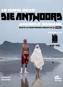 DIE ANTWOORD