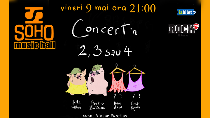 Bistrița: Ada Milea - Concert'n 2, 3 sau 4