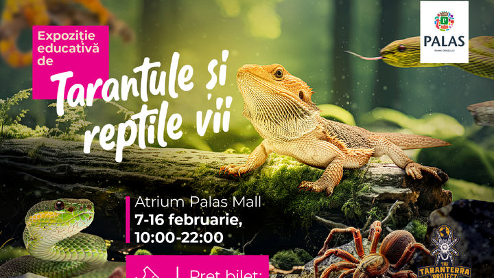 Iasi: Expozitie de Tarantule si Reptile Vii