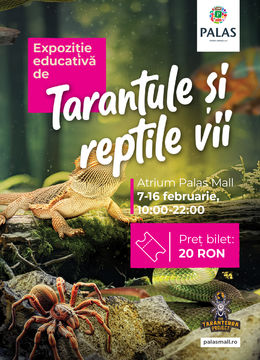 Iasi: Expozitie de Tarantule si Reptile Vii